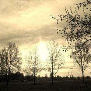 Meet your Posher, Brett amber